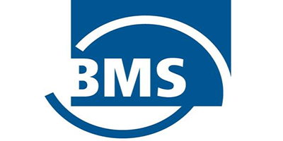BMS BauMaschinenService AG